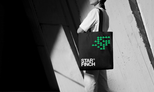 ​“星”夜极光，自在冒险——StarFinch星雀2022FWAW2022震撼首发！