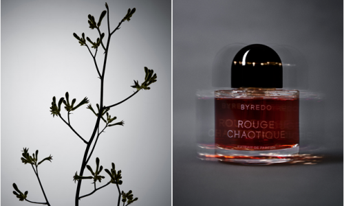 夜色丰盈 幕启新篇 BYREDO倾心呈献首款木质美食调Night Veils Rouge Chaotique夜幕无序浓香精