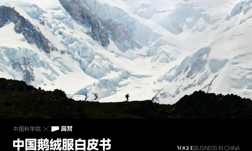 《中国鹅绒白皮书》发布 中国科学院、VOGUE Business齐点赞高梵高端鹅绒服